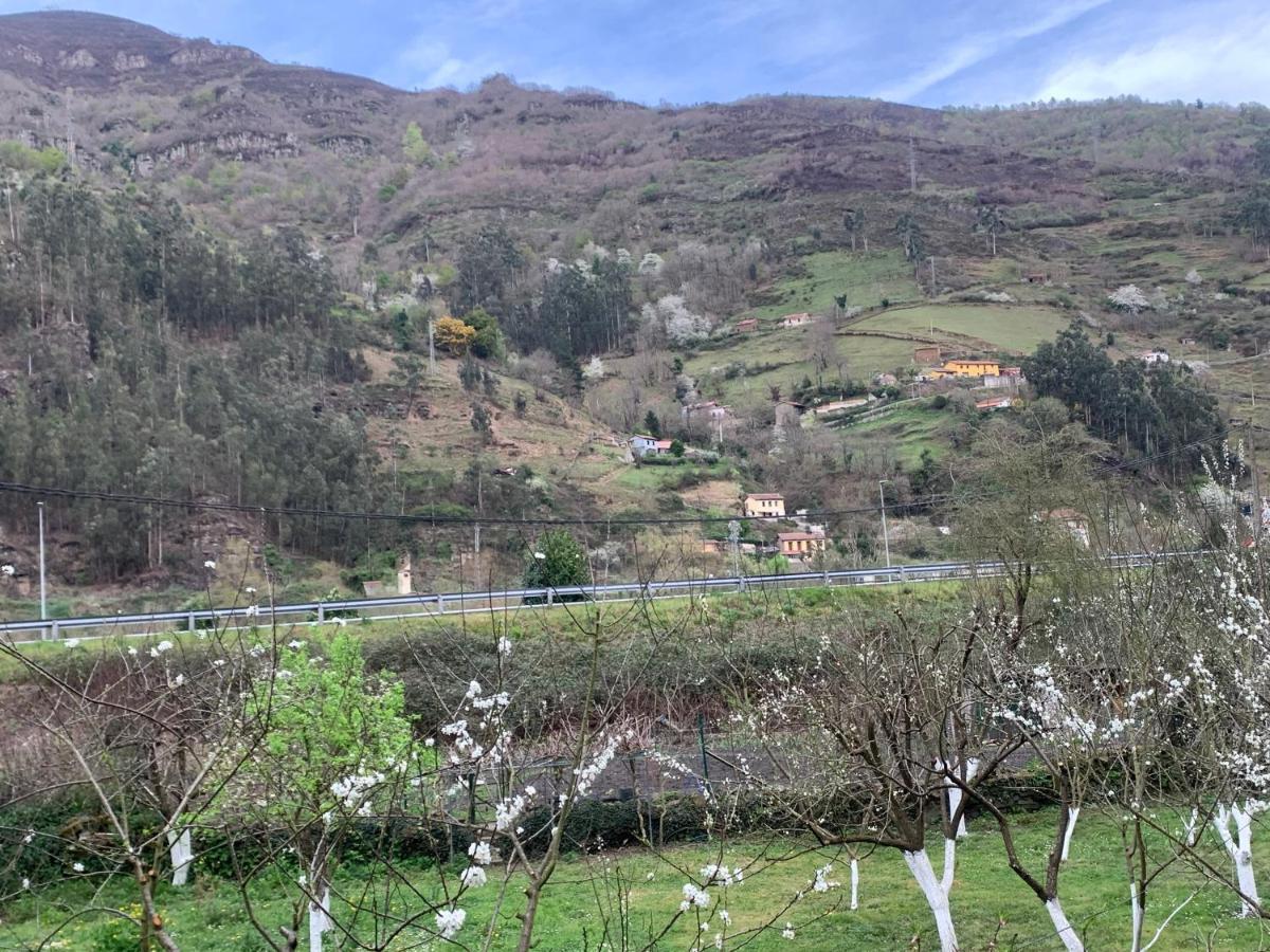 Casa Rural En Santa Cruz-Mieres Bustiello  Εξωτερικό φωτογραφία