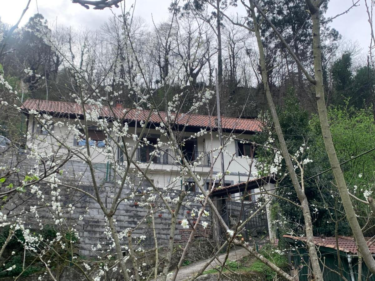 Casa Rural En Santa Cruz-Mieres Bustiello  Εξωτερικό φωτογραφία