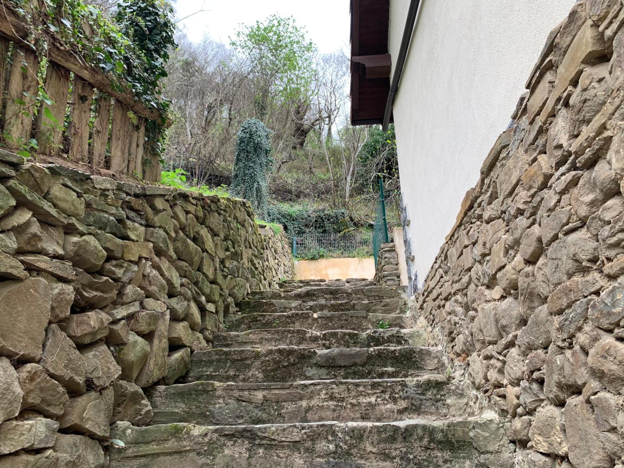 Casa Rural En Santa Cruz-Mieres Bustiello  Εξωτερικό φωτογραφία
